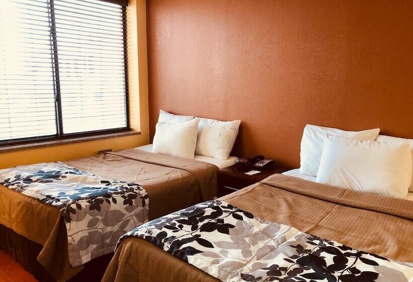 带2个双人床的标准工作室, The Vue Express @ 39th Street