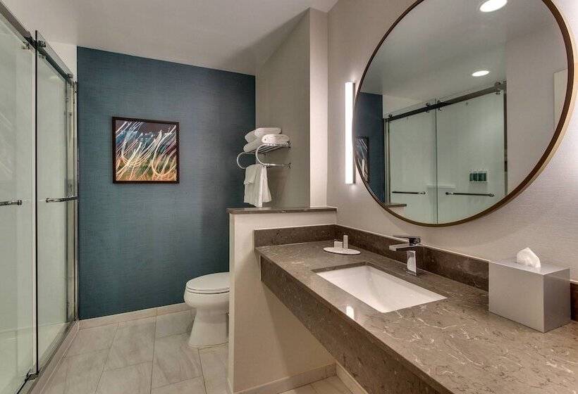 سوییت, Fairfield Inn & Suites By Marriott Birmingham Downtown