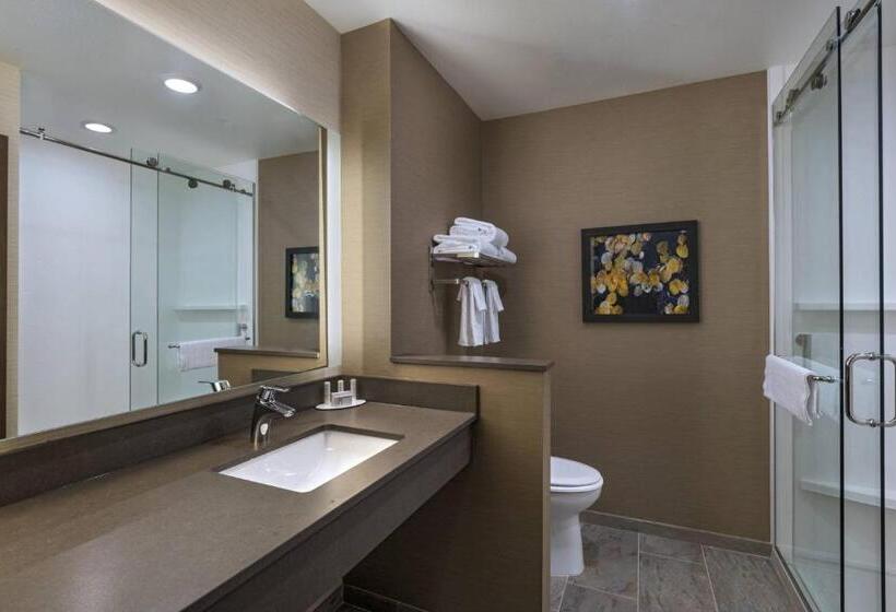 스탠다드 룸 킹사이즈 침대, Fairfield Inn & Suites By Marriott Colorado Springs East