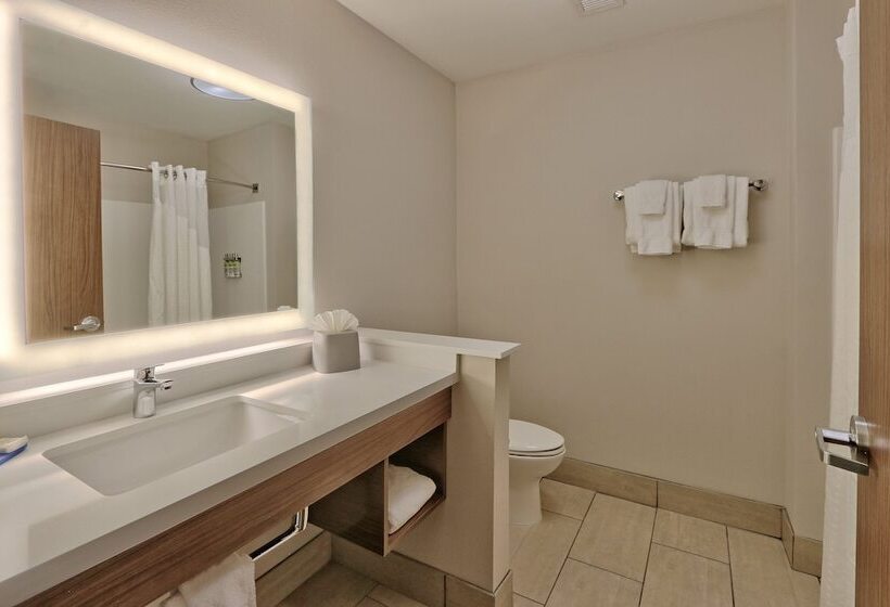 套房, Holiday Inn Express & Suites - Albuquerque East, An Ihg