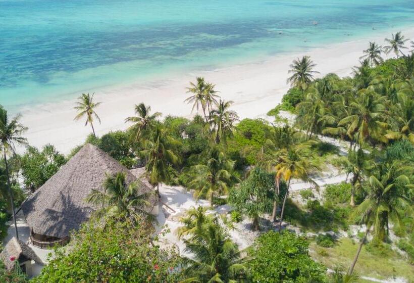 ویلای 1 خوابه, Zanzibar Pearl   Boutique Hotel & Villas