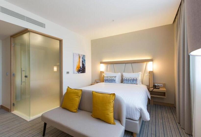 اتاق دلوکس با تخت کینگ و چشم‌انداز شهر, Courtyard By Marriott Banja Luka