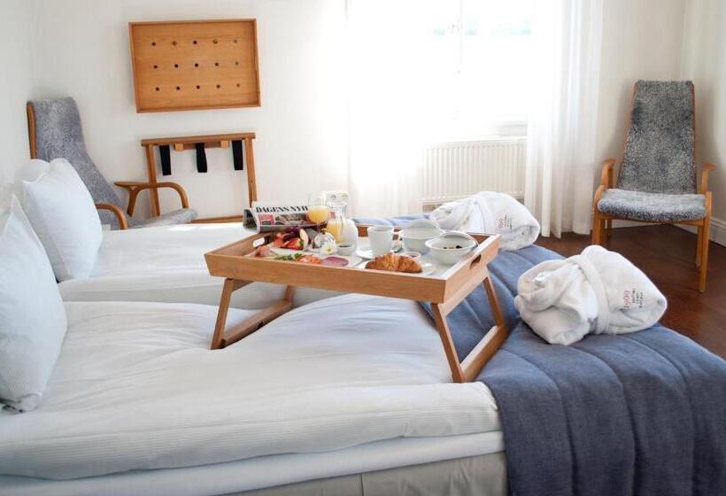 스탠다드 도시전망 룸, 1909 Sigtuna Stads Hotell
