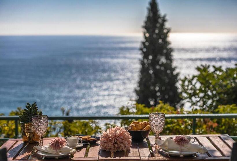 Апартаменты 1 Спальня с Террасой, Baba Residences