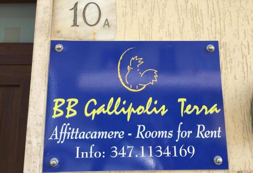 اتاق استاندارد چهار تخته, Bb Gallipolis Terra