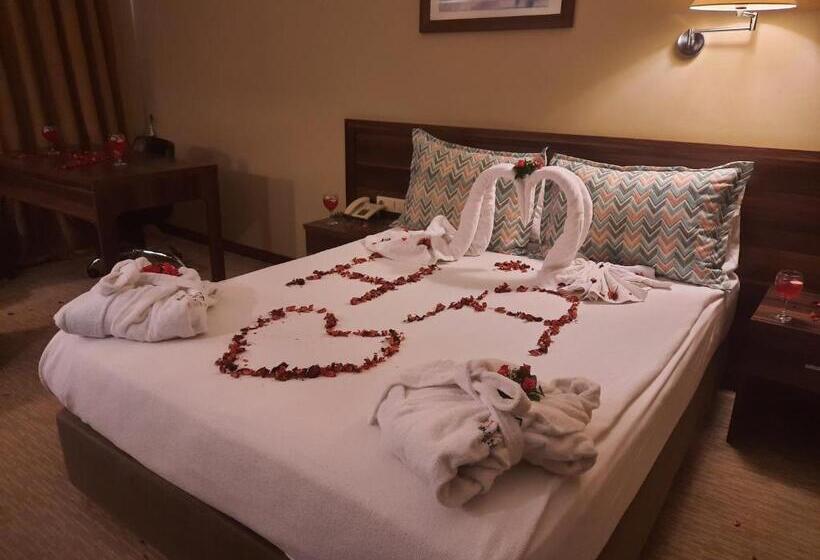 Номер Superior, Plaza Hotel Diyarbakir