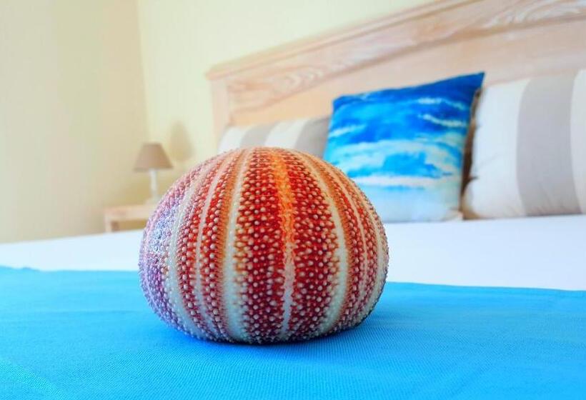 اتاق اجرایی, Brezza Marina Luxury Rooms
