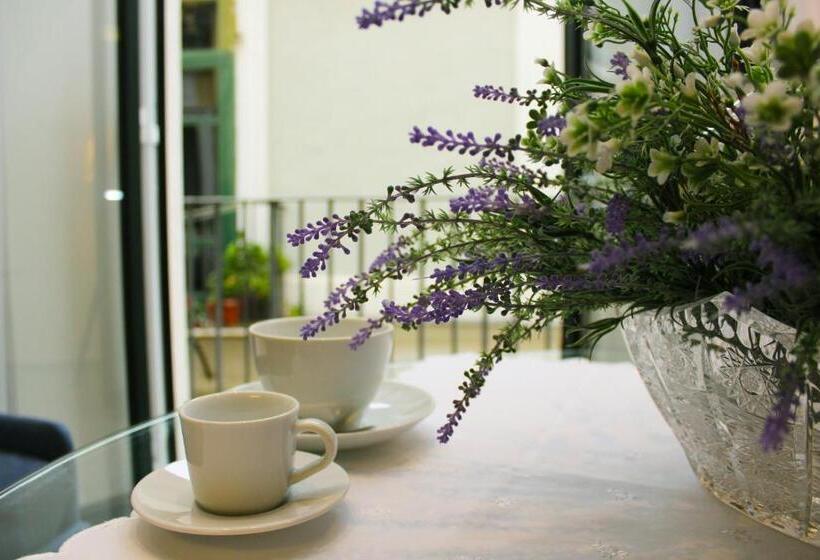 استودیوی لوکس, B&b Katerine