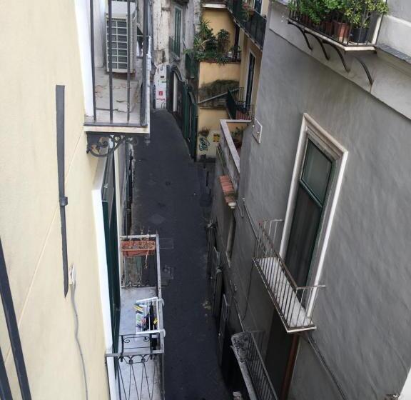 استودیوی لوکس, B&b Katerine