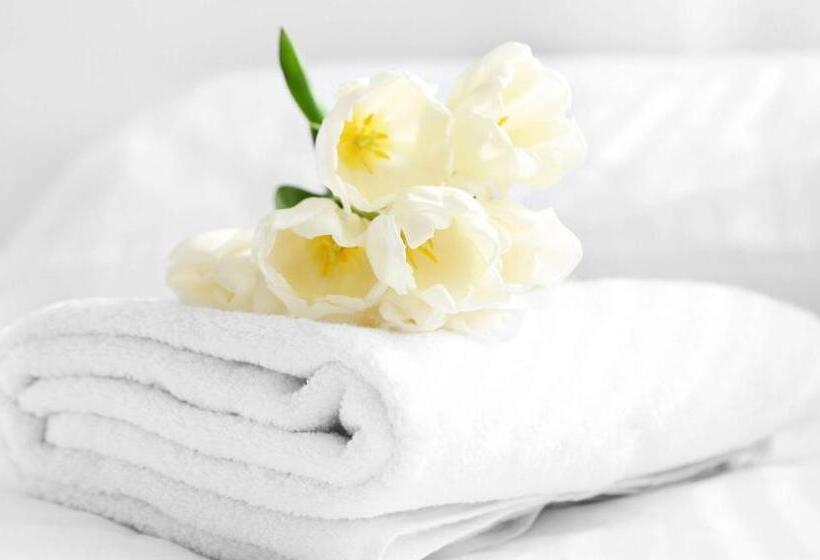 스위트 킹사이즈 침대, Anchorage Inn Lakeport