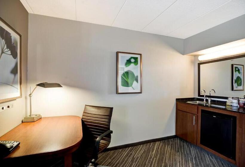 Номер Стандарт Кровать Кинг Адаптированный для Инвалидов, Hyatt Place Baltimore/bwi Airport