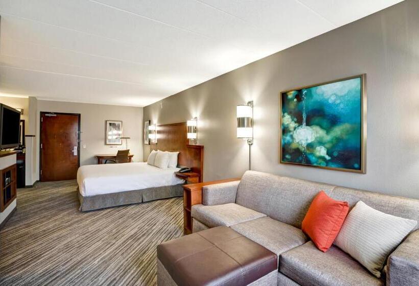 Номер Стандарт Кровать Кинг Адаптированный для Инвалидов, Hyatt Place Baltimore/bwi Airport