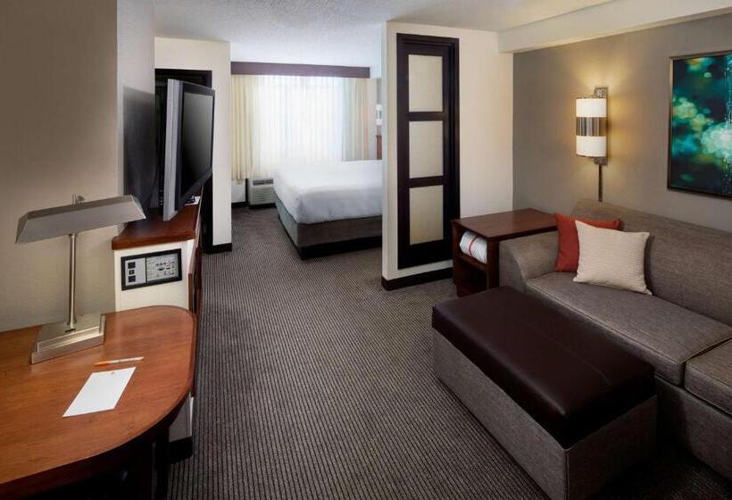 Стандартный Номер Кровать Кинг, Hyatt Place Roanoke Airport / Valley View Mall
