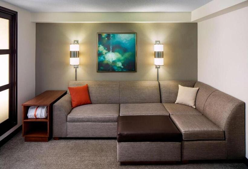 Номер Стандарт Кровать Кинг Адаптированный для Инвалидов, Hyatt Place Roanoke Airport / Valley View Mall