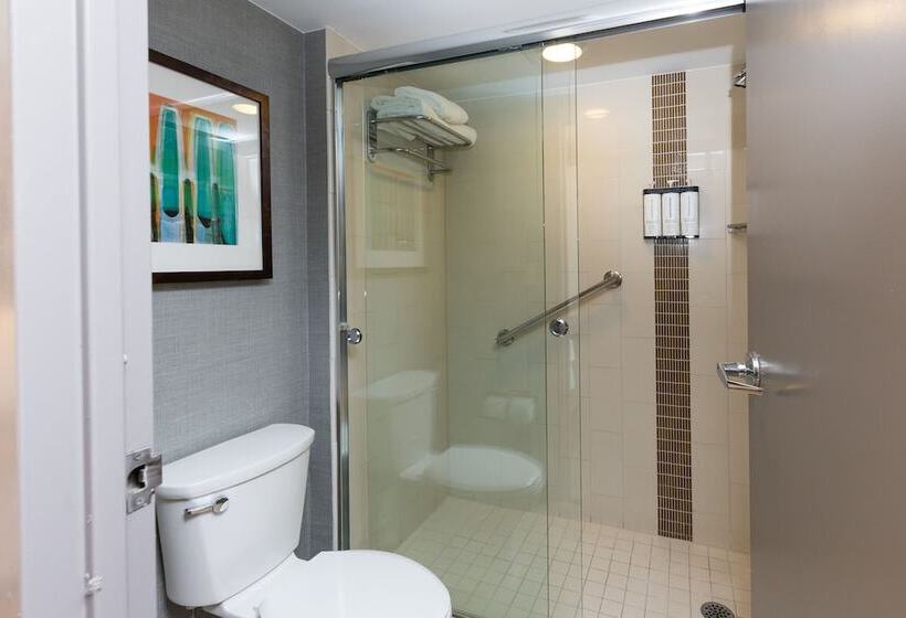 Номер Стандарт, Hyatt Place Roanoke Airport / Valley View Mall