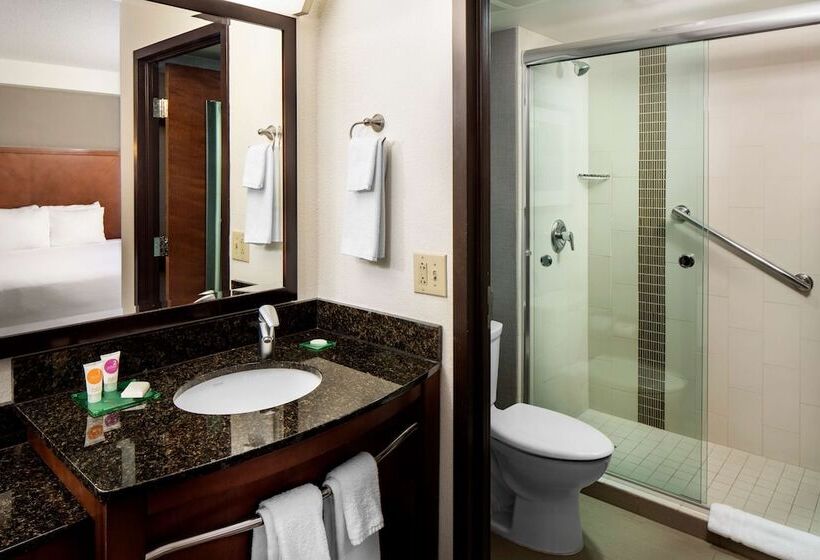 Номер Стандарт 2 Двуспальные Кровати, Hyatt Place Roanoke Airport / Valley View Mall