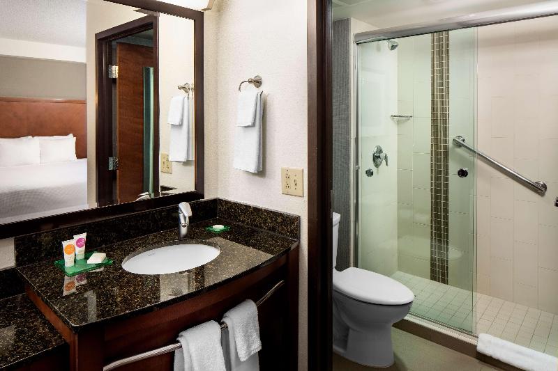 Стандартный Номер Кровать Кинг, Hyatt Place Roanoke Airport / Valley View Mall