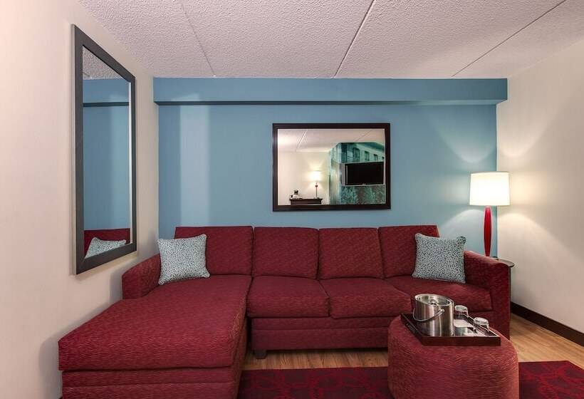 Номер Стандарт, Indigo Chicagovernon Hills, An Ihg