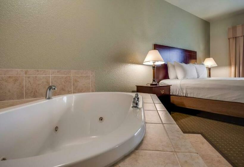 스탠다드 룸 킹사이즈 침대, Best Western Plus Bayshore Inn