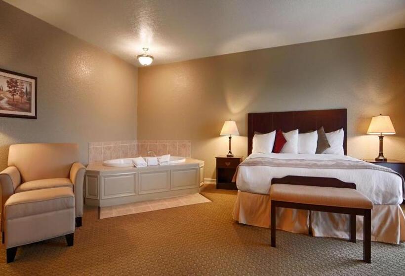 스탠다드 룸 킹사이즈 침대, Best Western Plus Bayshore Inn