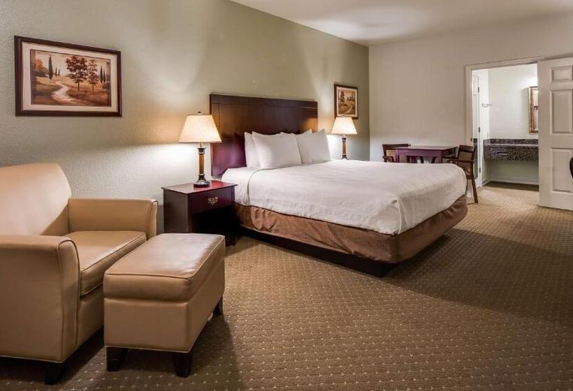 스탠다드 룸 킹사이즈 침대, Best Western Plus Bayshore Inn