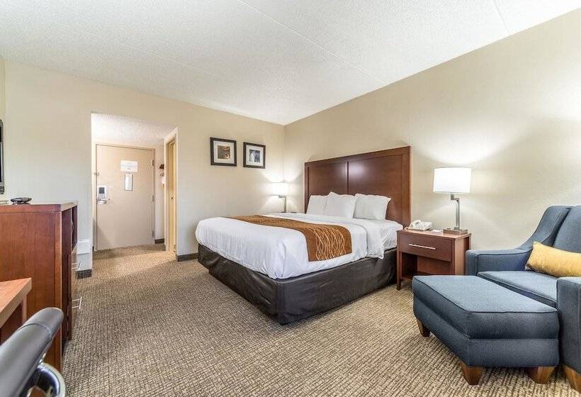 Люкс, Comfort Inn Festusst. Louis South