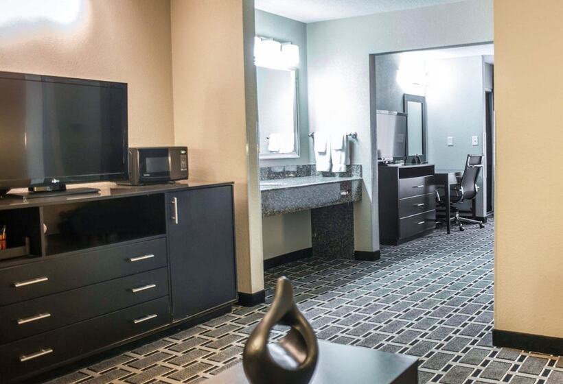 Süit, Comfort Suites Nashville Airport   Bna