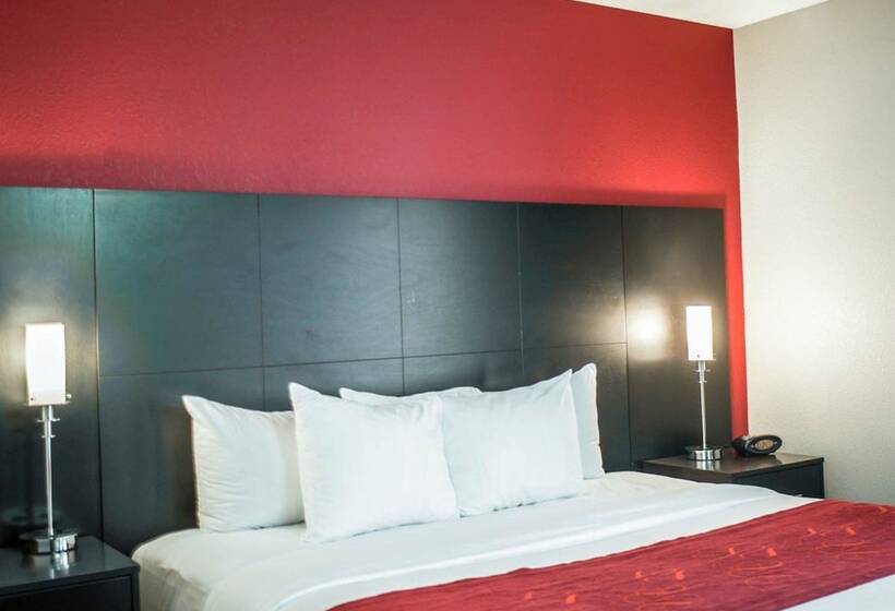 Süit, Comfort Suites Nashville Airport   Bna