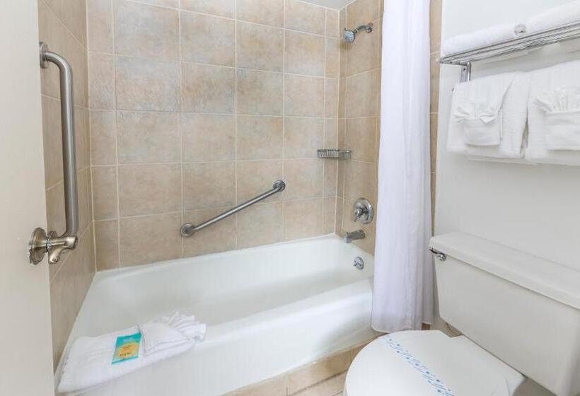Люкс, Ramada By Wyndham Flamingo Water Park