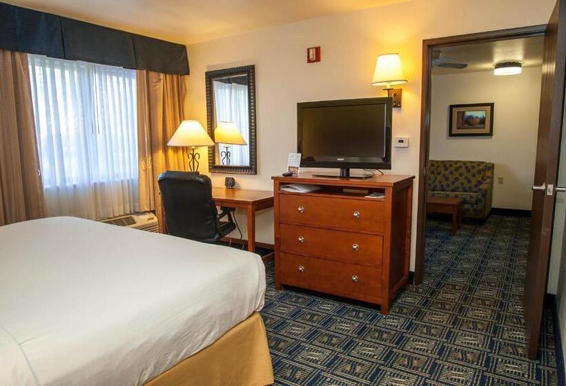 스탠다드 룸 킹사이즈 침대, Holiday Inn Express Tucson Airport, An Ihg