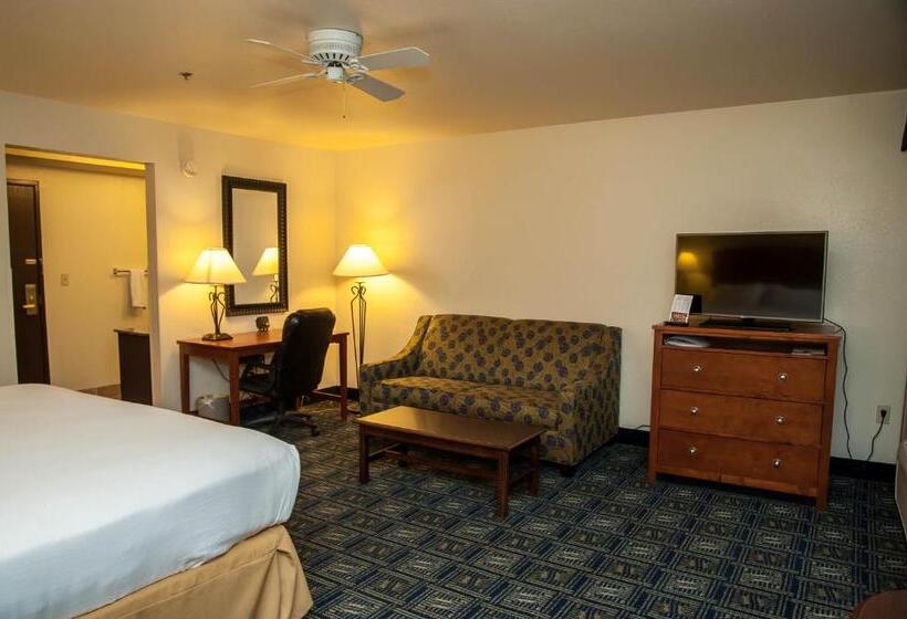 이그제큐티브 룸 킹사이즈 침대, Holiday Inn Express Tucson Airport, An Ihg