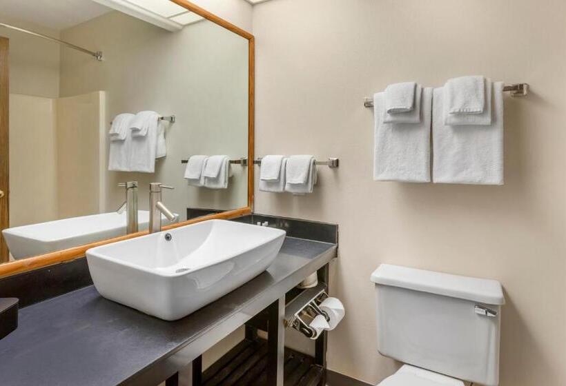 Номер Стандарт, Quality Inn & Suites Fillmore I15