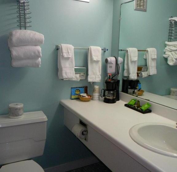 Номер Стандарт 2 Двуспальные Кровати, Baxter Park Inn
