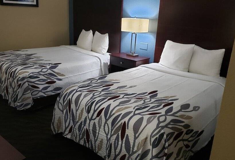 디럭스 룸, Red Roof Inn Port Allen