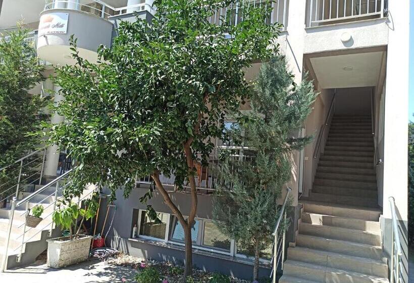 اتاق لوکس سه تخته, Apartment's Meti