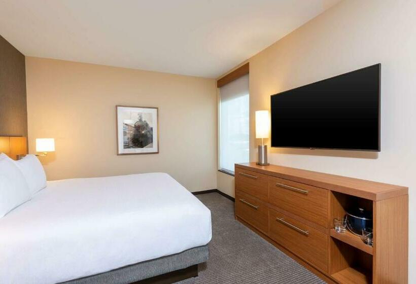 اتاق استاندارد با تخت بزرگ, Hyatt Place Flint/Grand Blanc