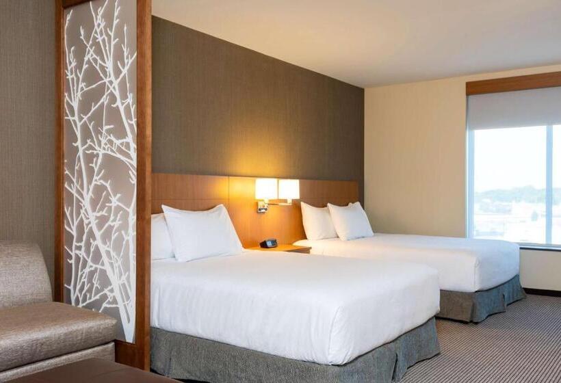 اتاق استاندارد با 2 تخت دوبل, Hyatt Place Flint/Grand Blanc