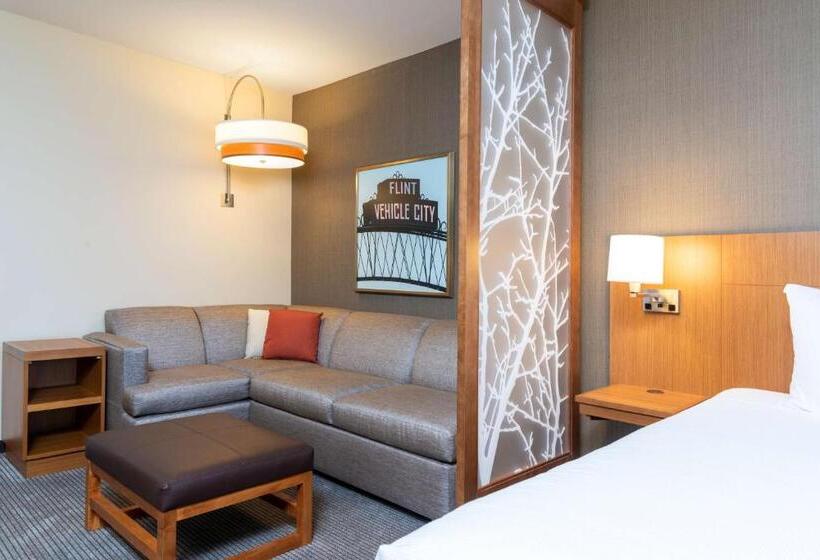 اتاق استاندارد با تخت بزرگ, Hyatt Place Flint/Grand Blanc