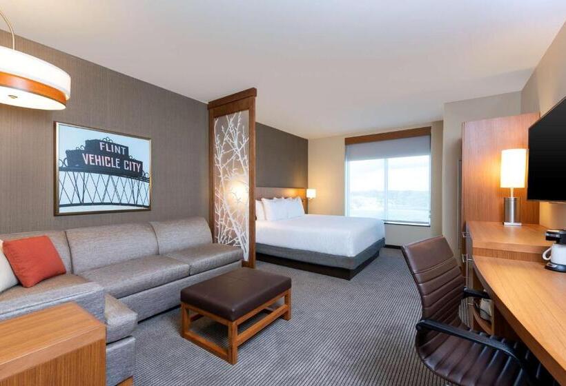 اتاق استاندارد با تخت بزرگ برای معلولان, Hyatt Place Flint/Grand Blanc