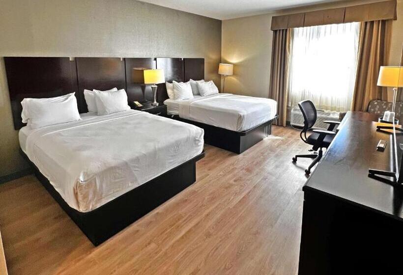 标准间, The Prussia Hotel, Bw Signature Collection