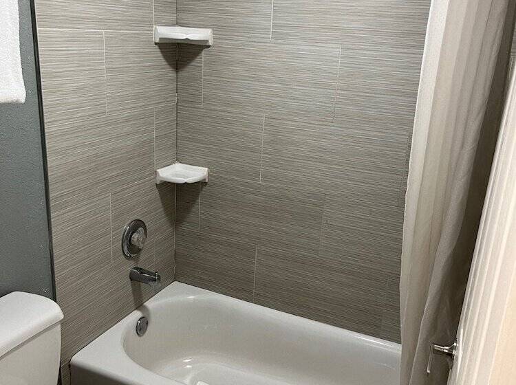 带2个双人床的标准工作室, Brandon Motor Lodge