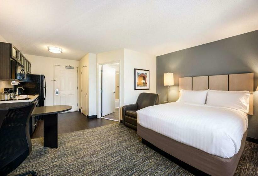 Студия Стандарт, Sonesta Simply Suites Dallas Las Colinas