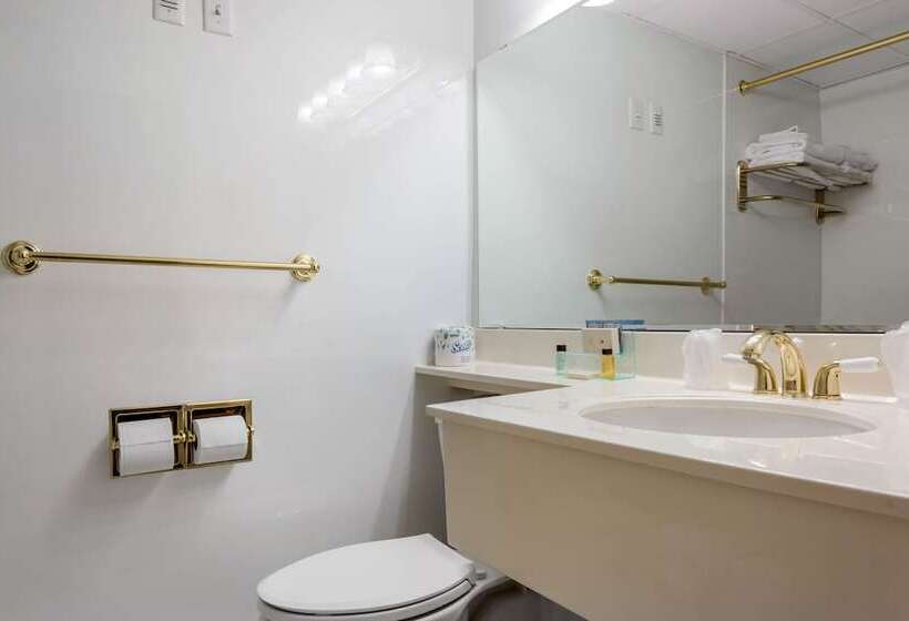 اتاق استاندارد با 2 تخت دوبل, Coachman Inn