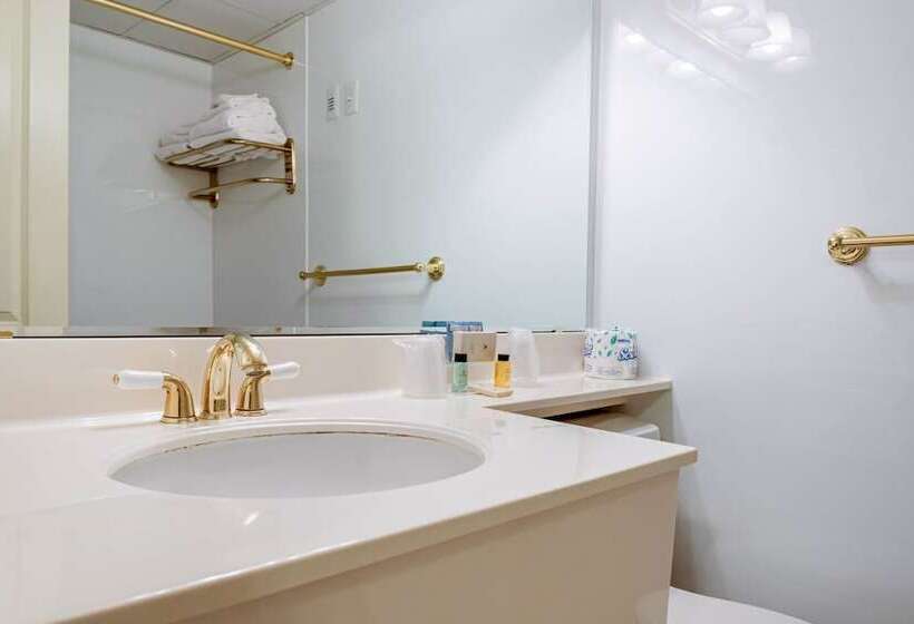 اتاق استاندارد با 2 تخت دوبل, Coachman Inn