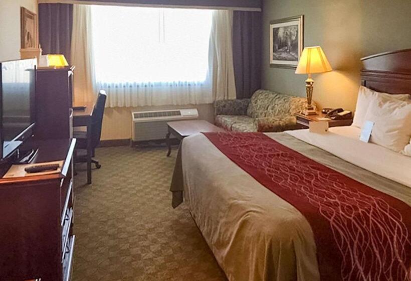 带大床的标准间, Comfort Inn