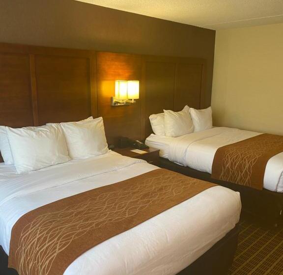 标准间, Comfort Inn
