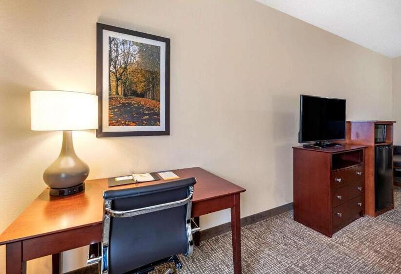 Номер Стандарт, Comfort Inn & Suites Kelso  Longview