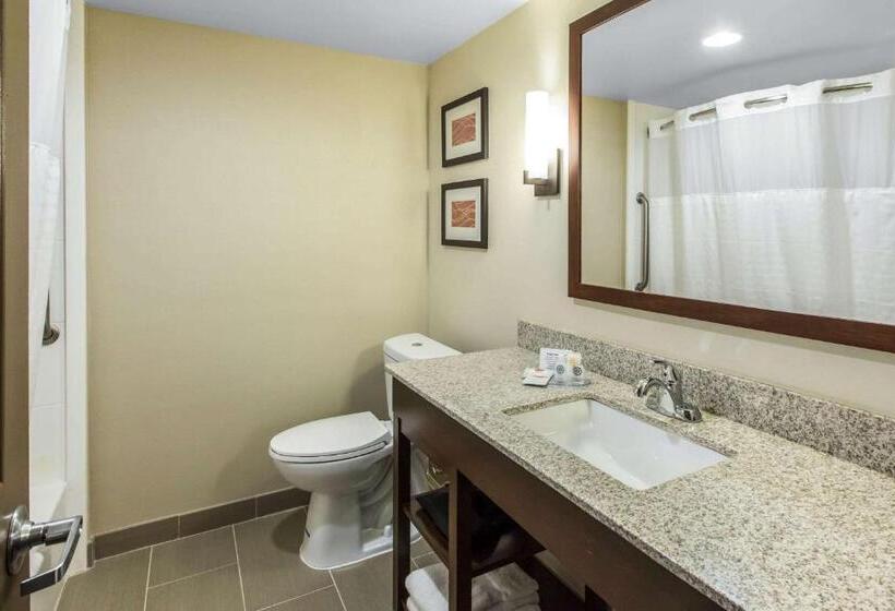 Standard Szoba King Size Bed, Comfort Inn & Suites Knoxville West