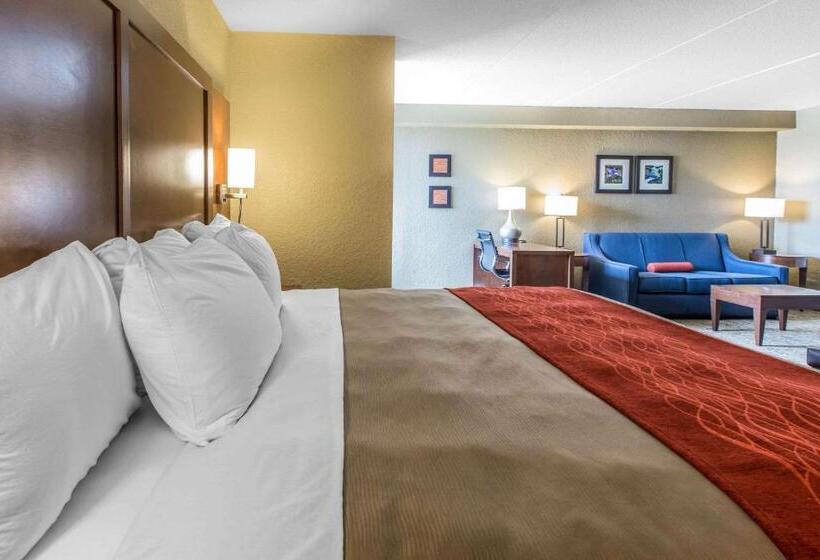 Suite King Size Bed, Comfort Inn & Suites Knoxville West