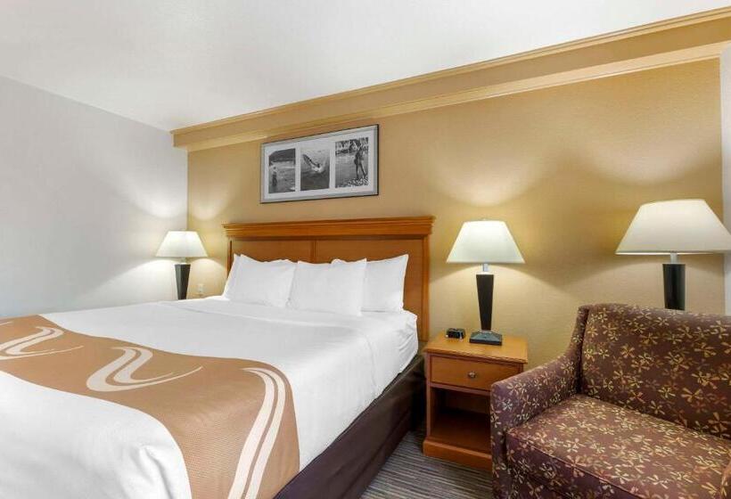 스탠다드 룸 킹사이즈 침대, Quality Inn Hamilton Bitterroot Valley